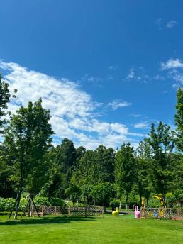 成都公园测评,天府芙蓉园根本逛不完