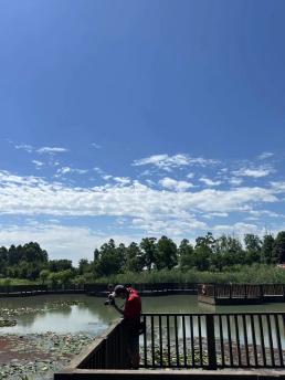 成都公园测评，天府芙蓉园根本逛不完