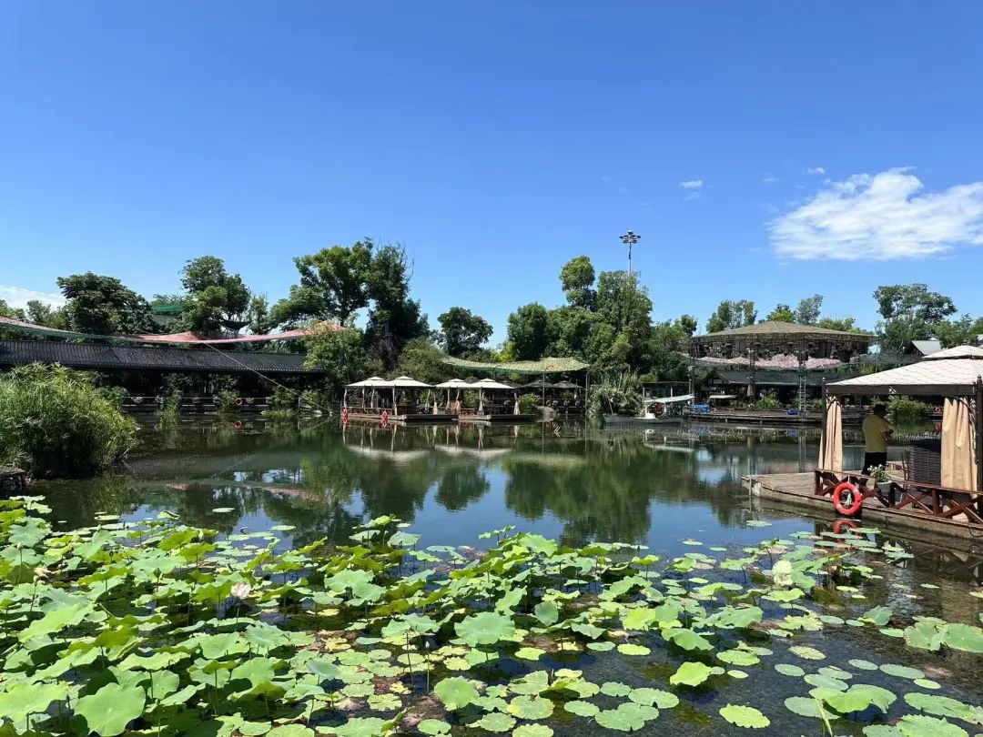 成都公园测评，天府芙蓉园根本逛不完