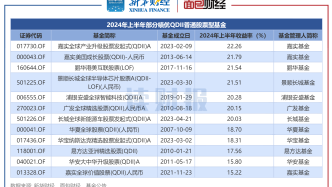 QDII股票型基金上半年業(yè)績：超八成產(chǎn)品實(shí)現(xiàn)正收益