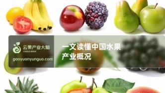 一文读懂中国水果产业分析简报