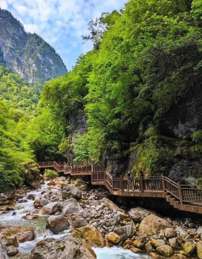 山河甘肃·小暑—走进陇南官鹅沟