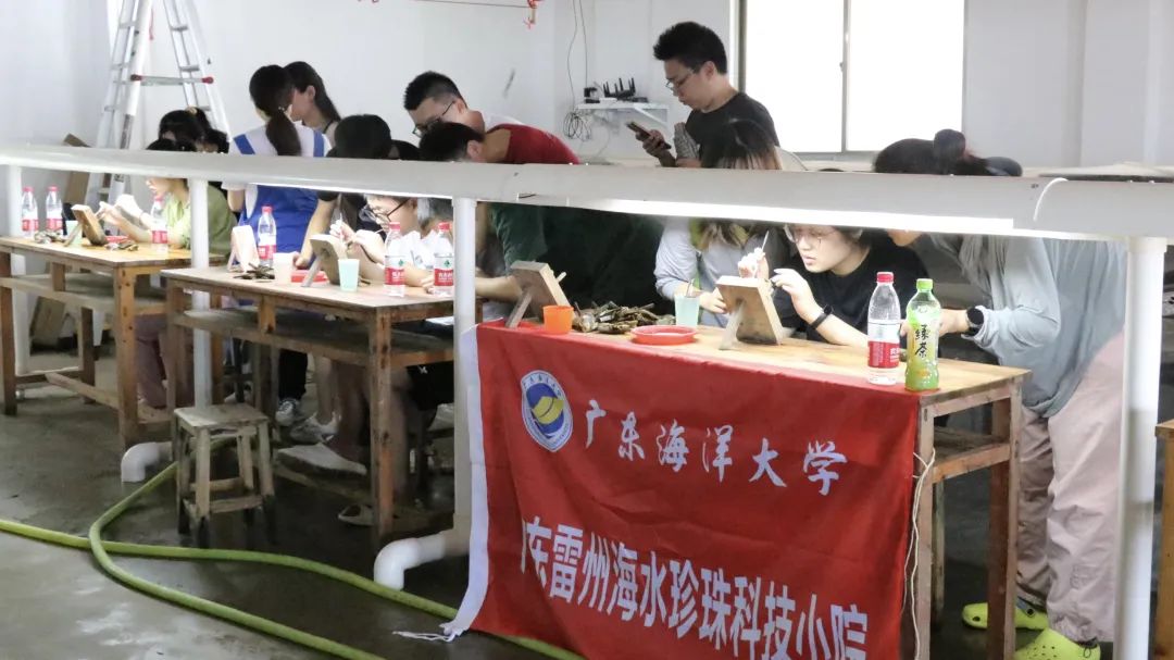 全国每5只对虾,就有3只来自广东这个地方!