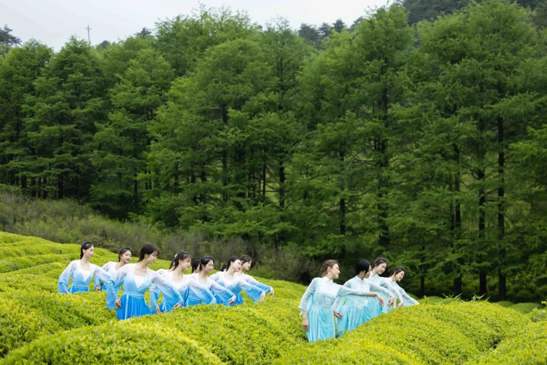 舞出茶香,这是黄岩人的松弛感