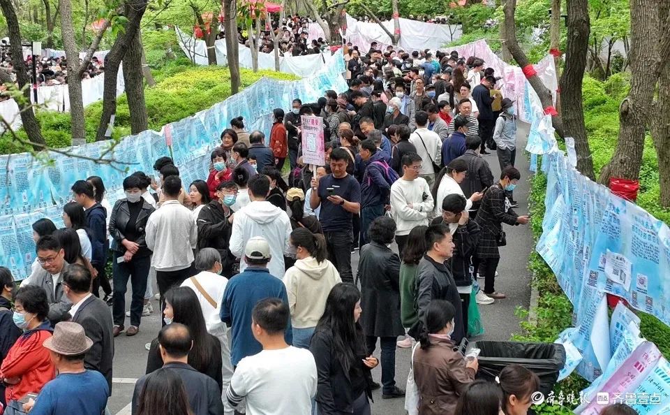 七夕千佛山相亲大会报名正式启动!快来吧