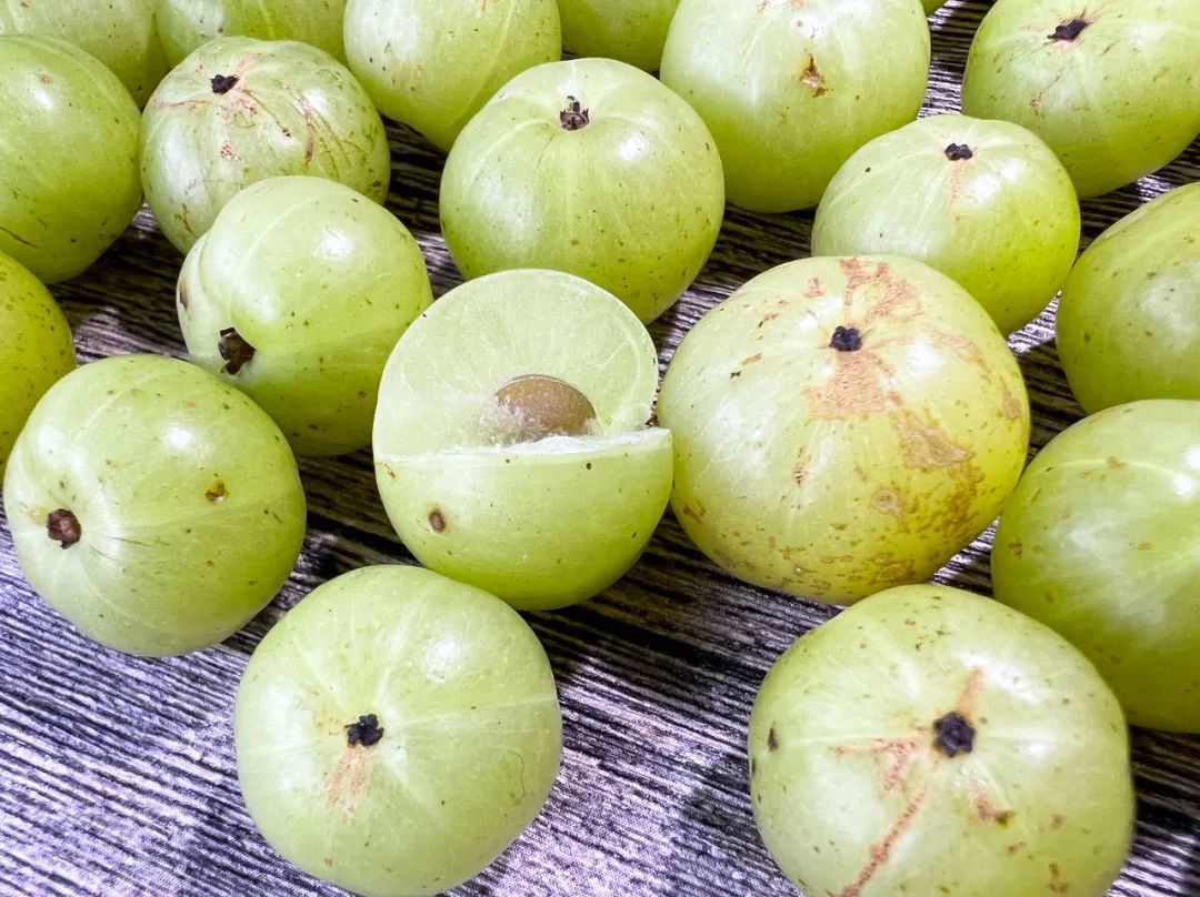 油柑,北方人的水果盲区又 1