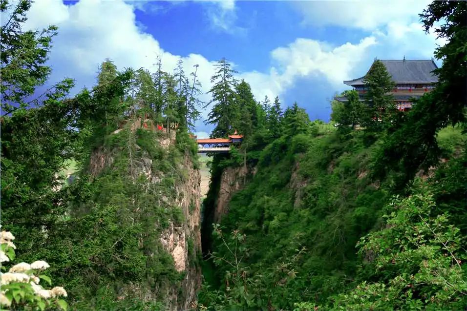 贵清山风景区位于新寺镇.