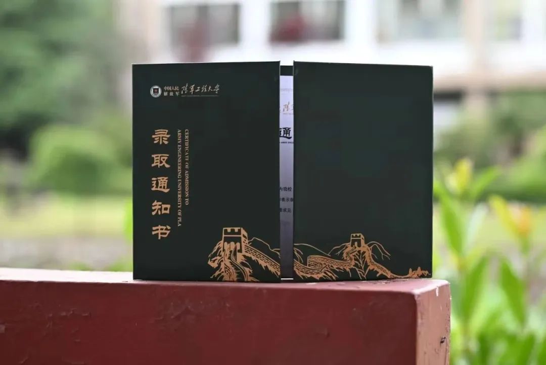 山东工程职业技术大学投档线_2024年山东工程职业技术大学录取分数线及要求_山东工程职业技术大学录取名单