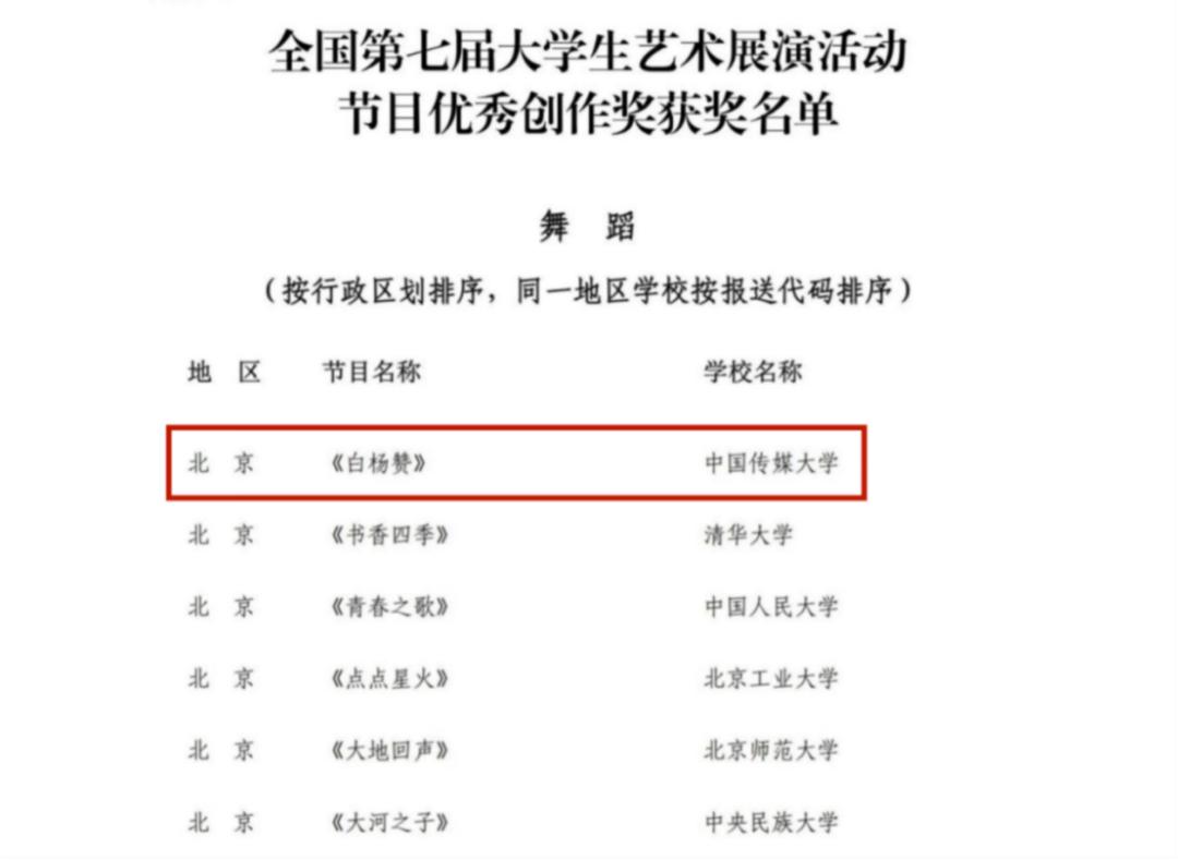 大艺节国赛图片