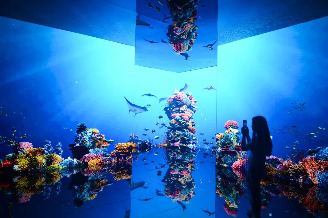 这场"五维海洋"展震撼又出片!