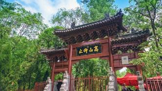 世界上最著名的柏树竟然在郑州，汉武帝赐名字