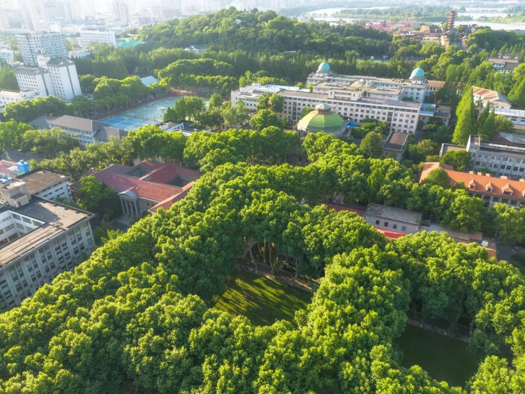 重要通知！东大这些学生可领取补助！_澎湃号·政务_澎湃新闻-The Paper