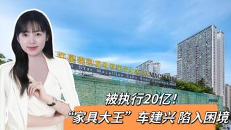 被執行20億，“家具大王”車建興陷入困境