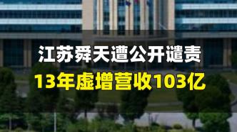 江苏舜天遭公开谴责，13年虚增营收103亿