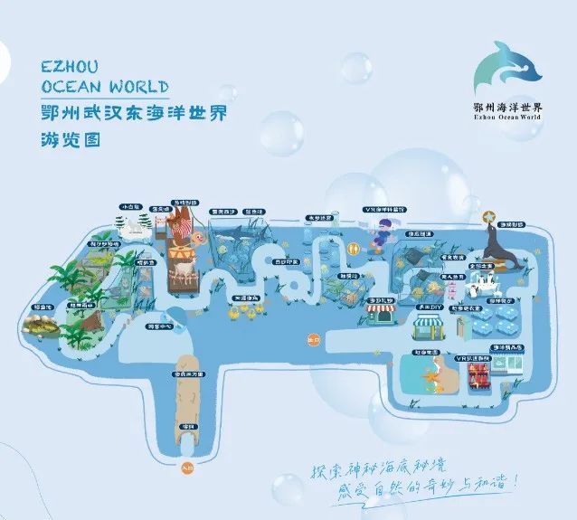 占地近10000平方米全新升级后的海洋世界鄂州武汉东海洋世界试营开业