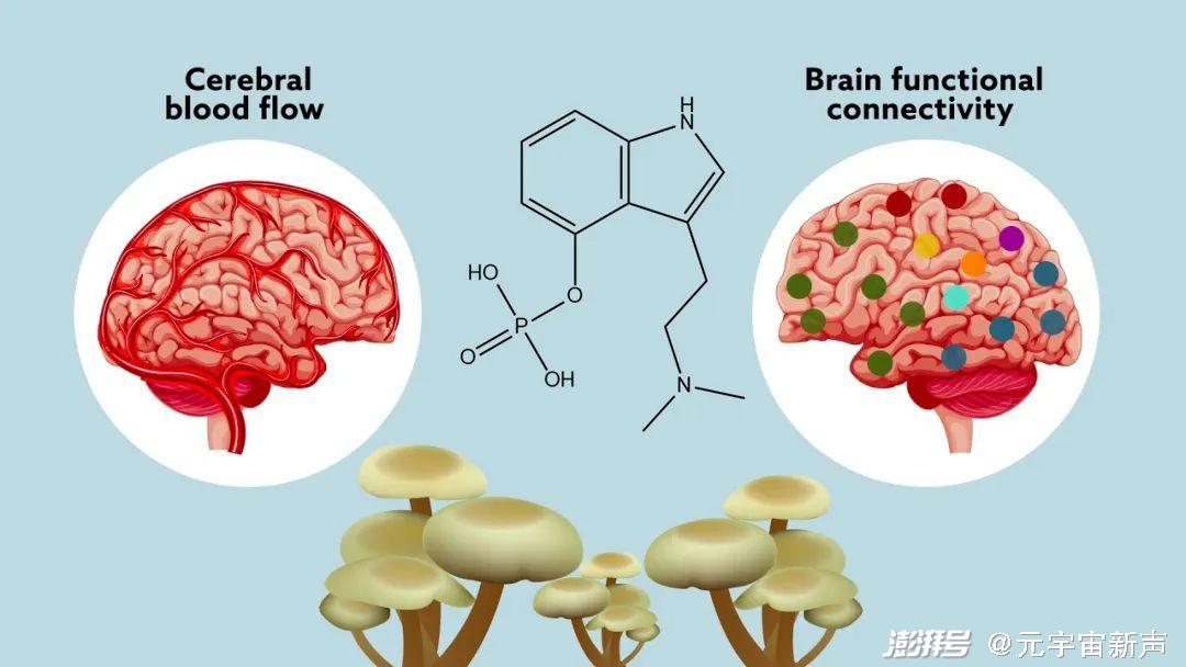 周鸿祎中毒？吃菌中毒后，究竟会发生什么呢?