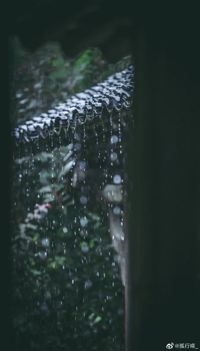 屋檐下听雨图片