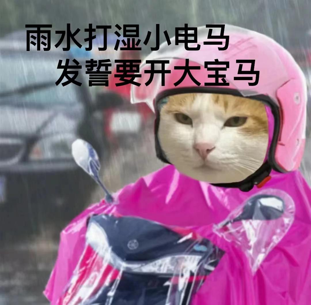 下雨骑电动车表情包图片