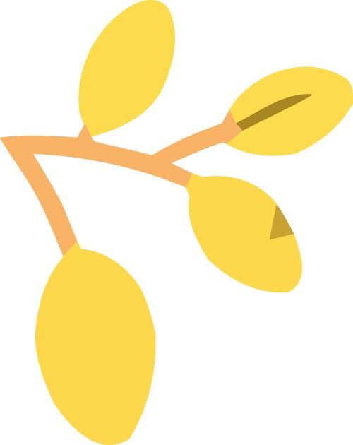 茶艺教学设计教学过程_茶艺教学_茶艺教学计划
