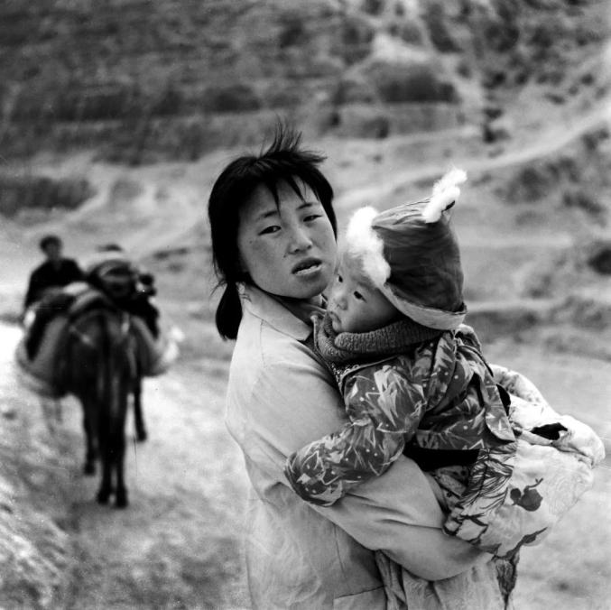 李樯:人与土地_澎湃号·湃客_澎湃新闻-The Paper