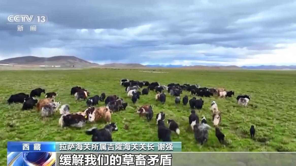 增速居全国首位！来看西藏外贸的古道“新”颜和源头好水
