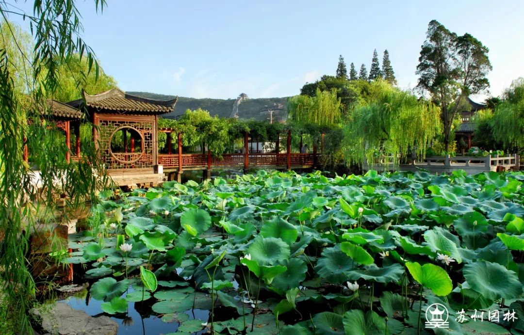赵园·曾园--暨阳湖生态园--荷塘月色湿地公园-图源:木渎发布-木渎