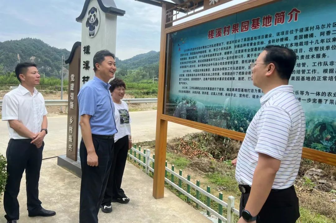 中国远洋海运集团靳宏荣到安化考察调研_澎湃号·政务_澎湃新闻-The Paper
