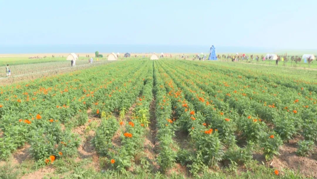二克浅镇红星村雁栖湖 游客露营好去处