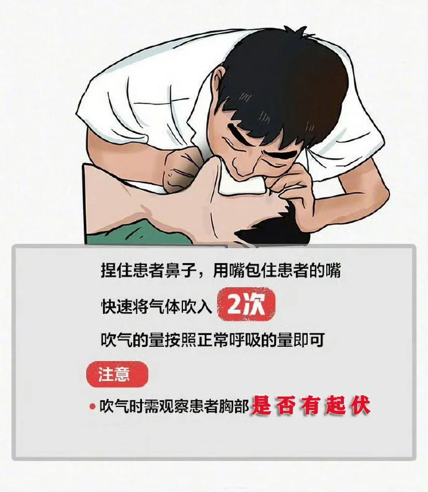 人人都该学会!