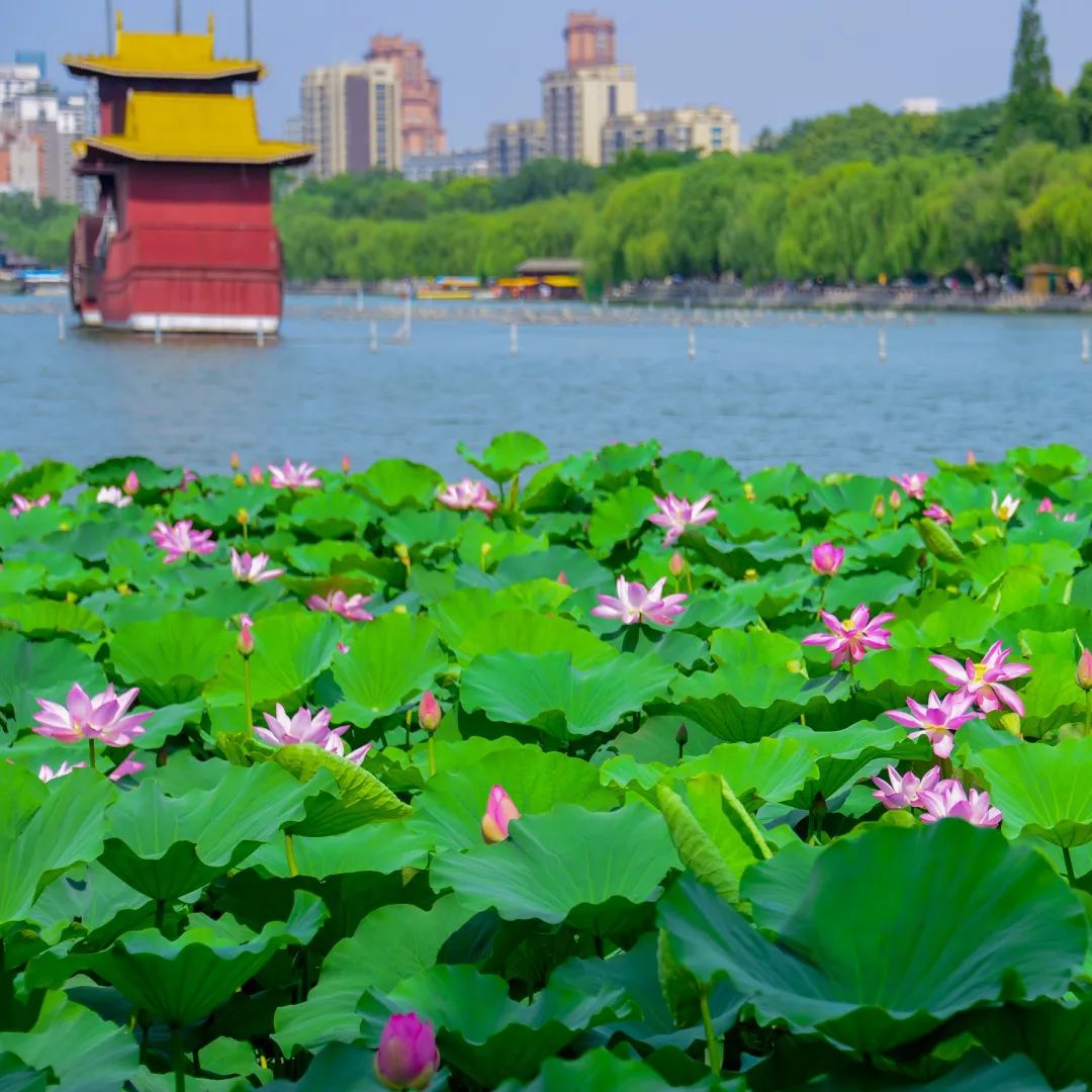 这一站,济南三条暑期特色文旅路线来了!