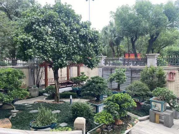 圭峰会城通过整体打造示范村,重点打造示范户的方式带动推广"美丽庭院