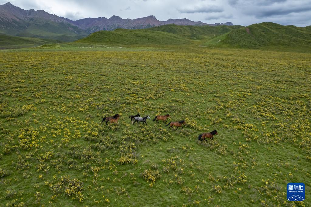 7月10日在甘肃省张掖市肃南裕固族自治县皇城镇拍摄的祁连山景色(无人