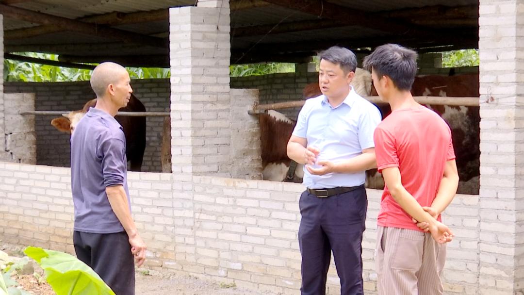 【乡村振兴】倾心为群众 助力乡村振兴——普定县白岩镇高管村驻村第