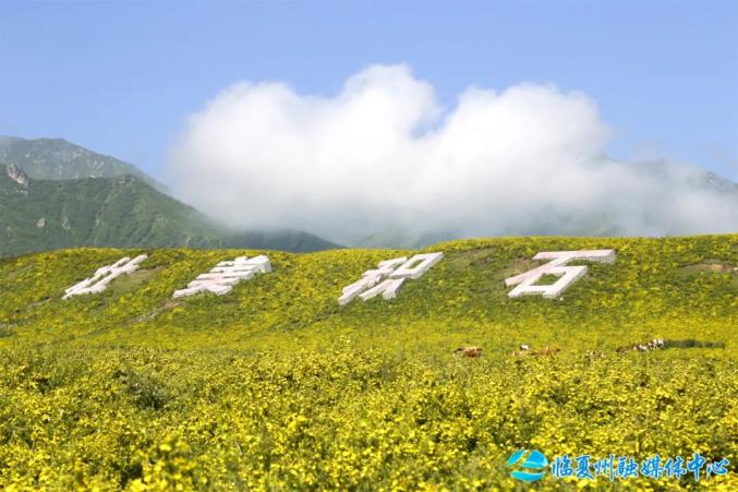 汝城黄草坪图片