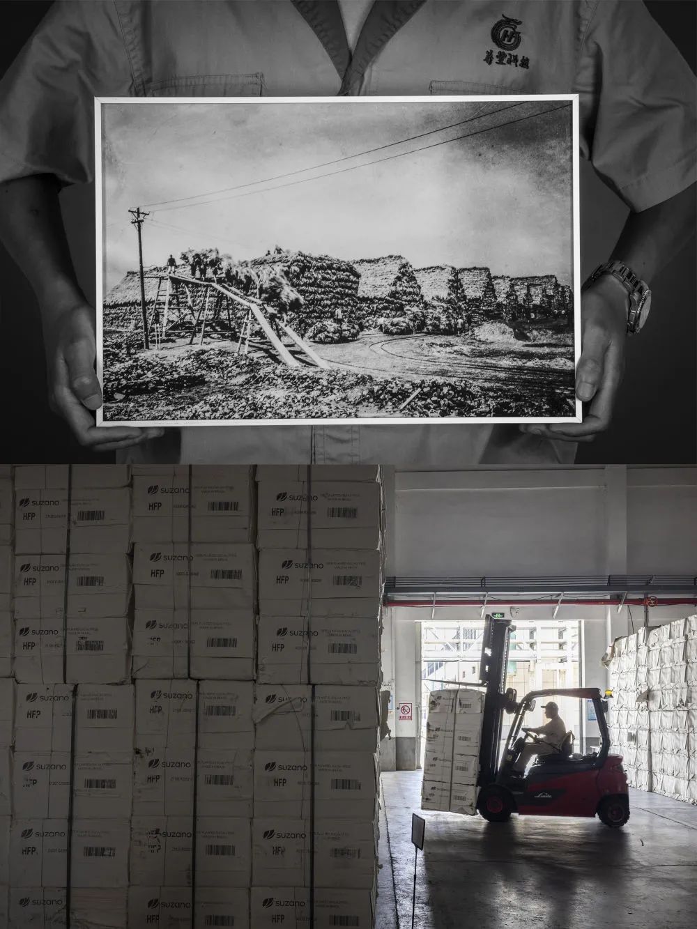 家乡故事| 钟黎明： 百年华丰的前世今生