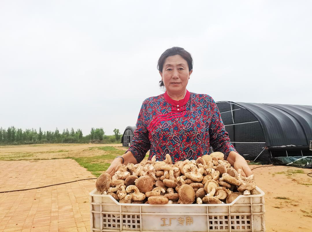 湖北仙桃胡场镇想姑图片