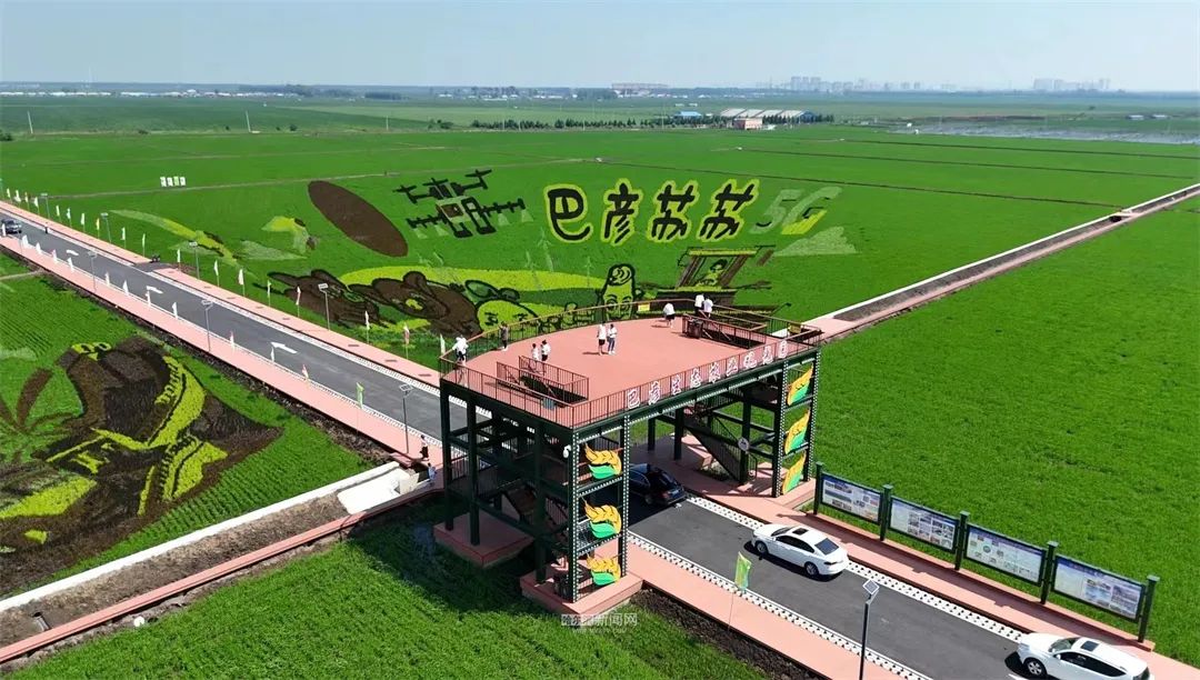 2000亩巨幅稻田画|巴彦打造观光农业"会客厅"