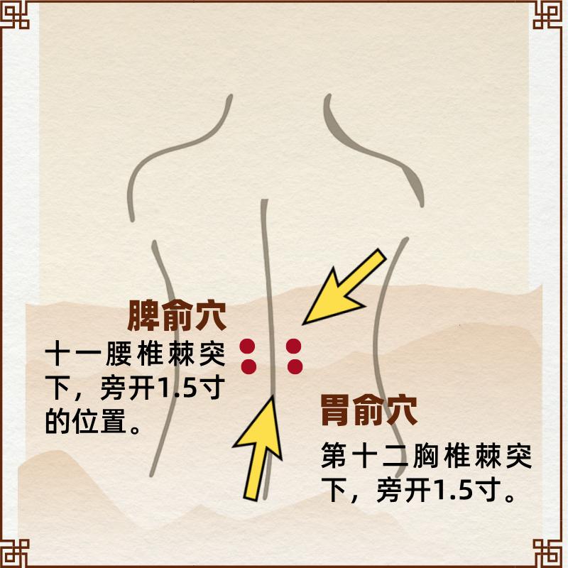 腹泻中药贴敷部位图解图片