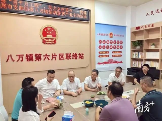 民建汕尾市支部助力八万镇菠萝销路畅通_澎湃号·政务_澎湃新闻-The Paper