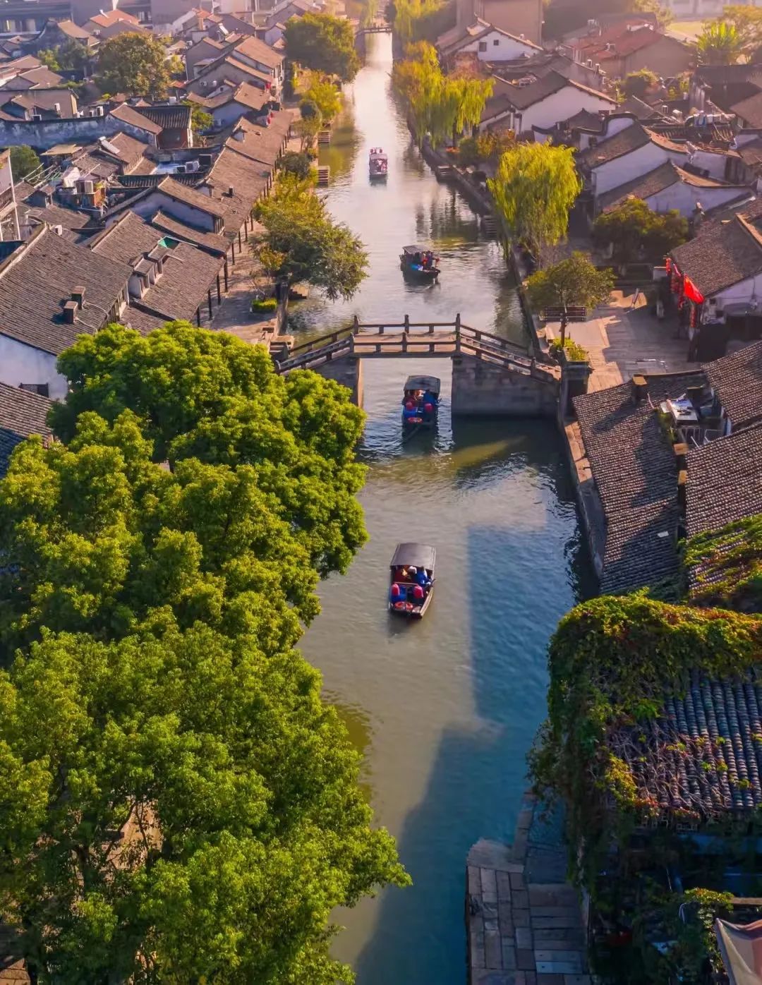 "亲情中华·诗意水乡"网上营嘉兴·嘉善营招募令