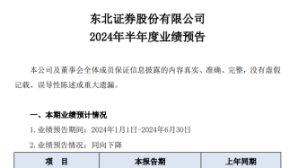 東北證券：2024上半年凈利或降逾七成，投資業務等收入下降