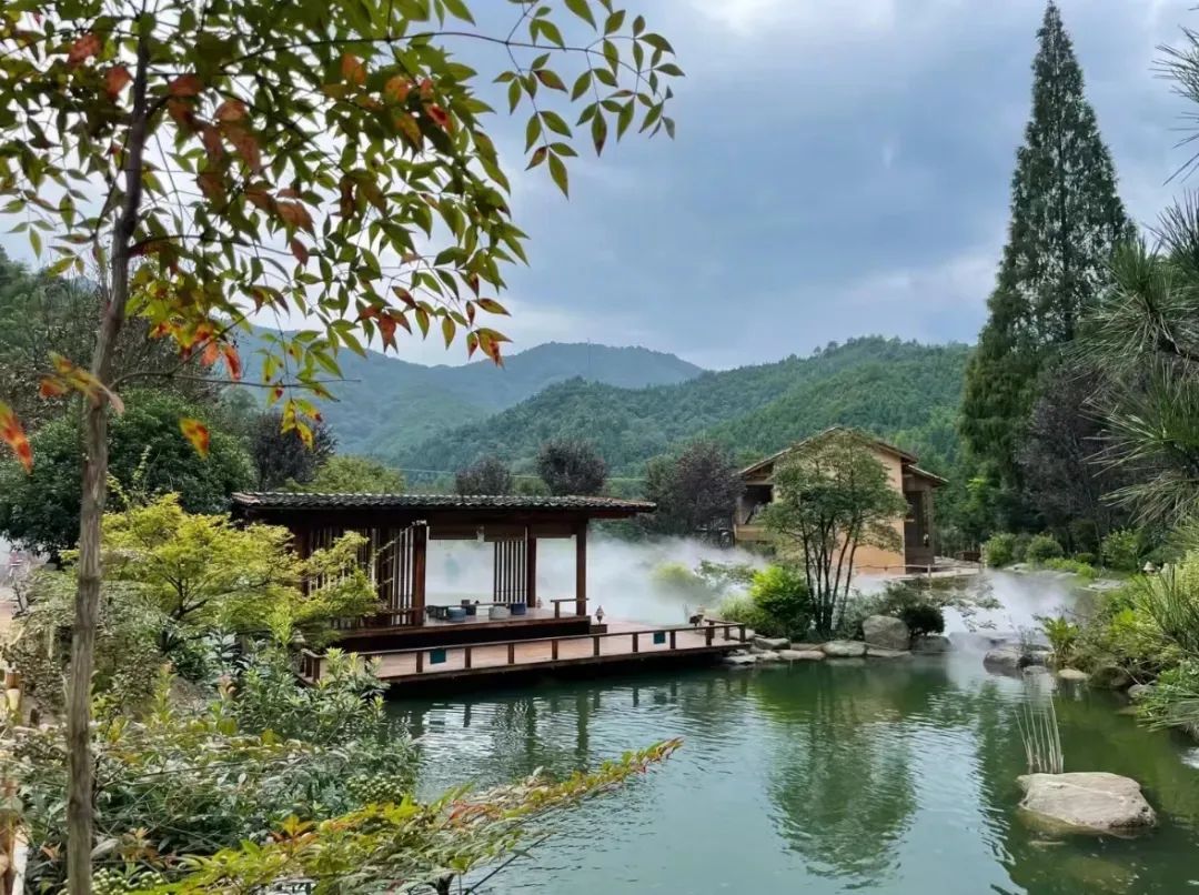 浏阳市"向美而行"第二期美学课堂启动