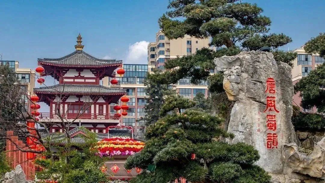 越夜越美丽！这是属于崇州人的烟火气