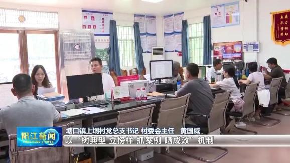 塘口镇上垌村党总支书记 村委会主任 黄国威:我们成立了红黑榜,以"树