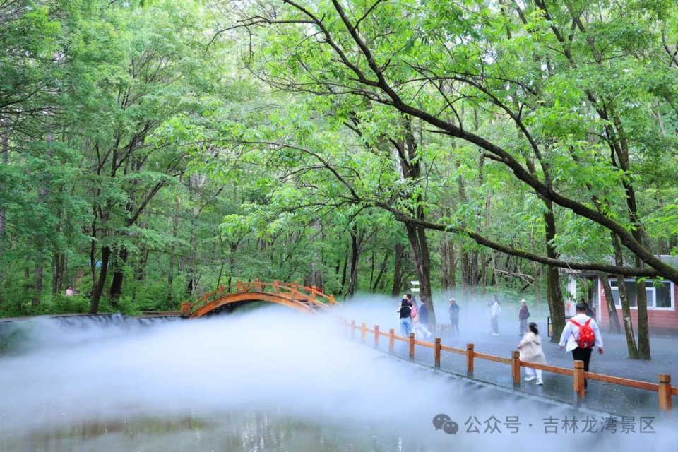 这里是吊水壶风景区,响水河谷连同瀑布风景区,飞流浪漫,溪水潺潺,谷中