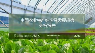 中国农业生产结构及发展趋势分析简报