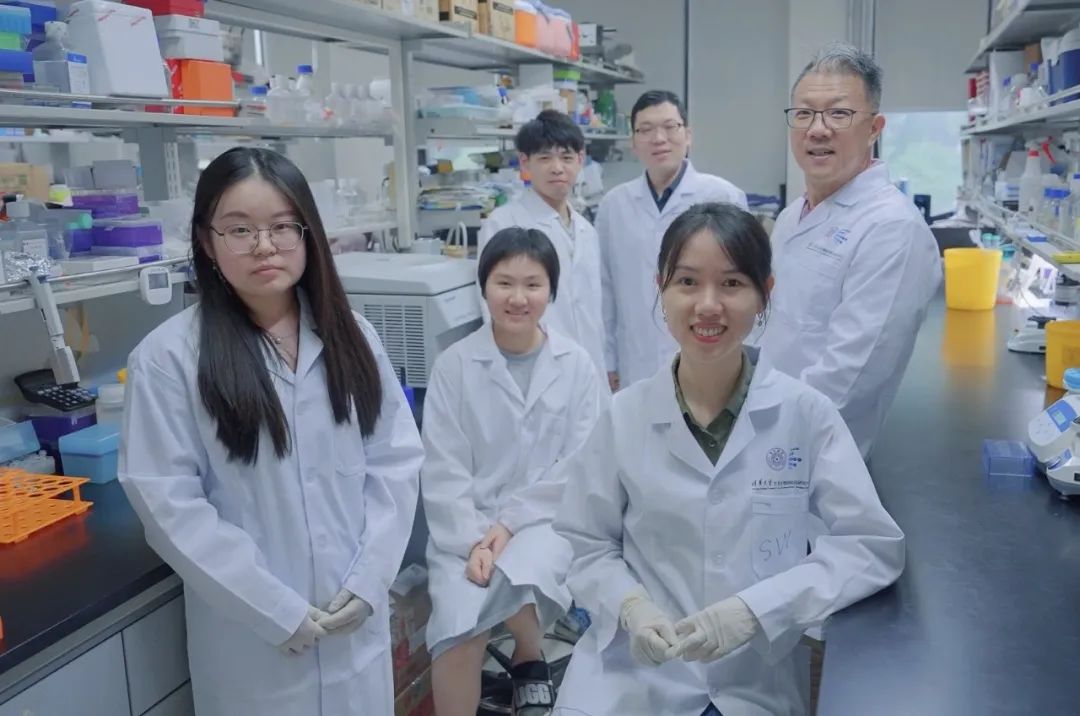 十余年攻关！清华团队取得免疫学研究新突破