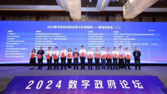 辰安科技大连金普新区燃气安全监测预警平台项目入选2024数字政府创新成果与实践案例