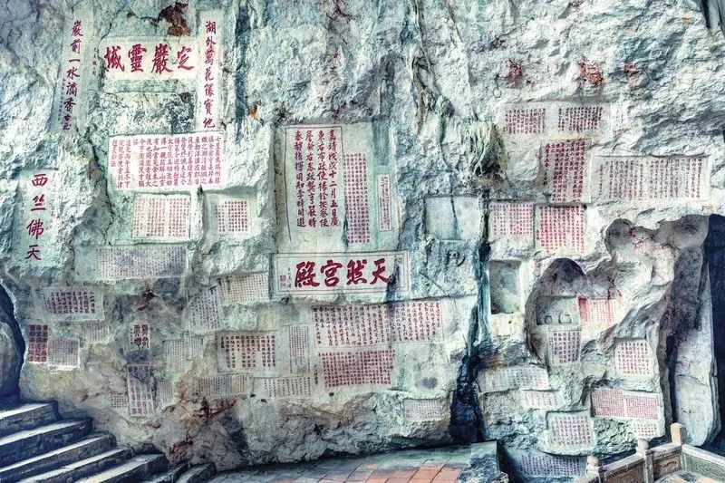 来肇庆，不止游山玩水！
