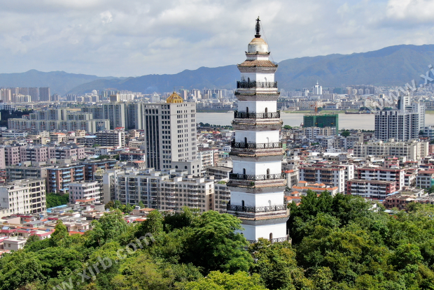 来肇庆，不止游山玩水！
